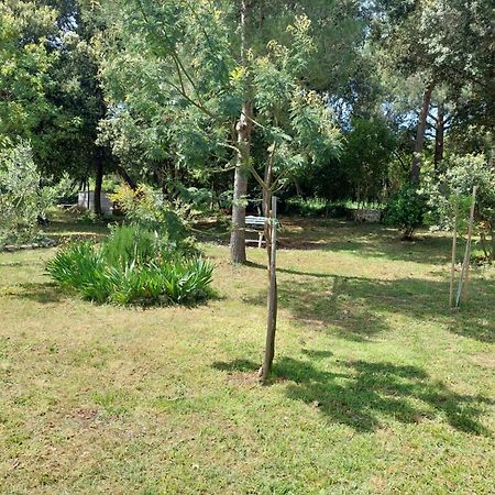 Appartamento Sweet Rovigno Esterno foto