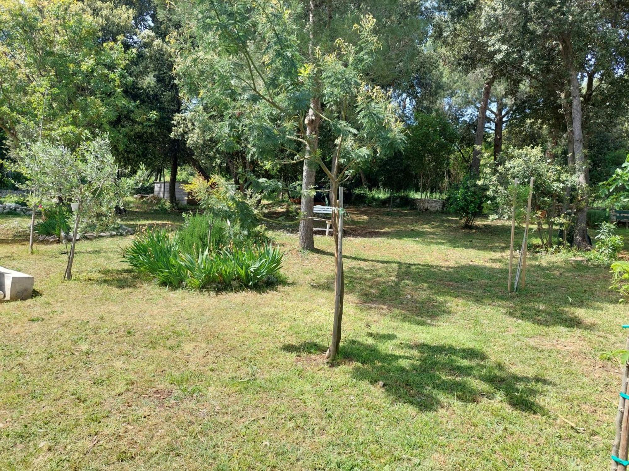 Appartamento Sweet Rovigno Esterno foto
